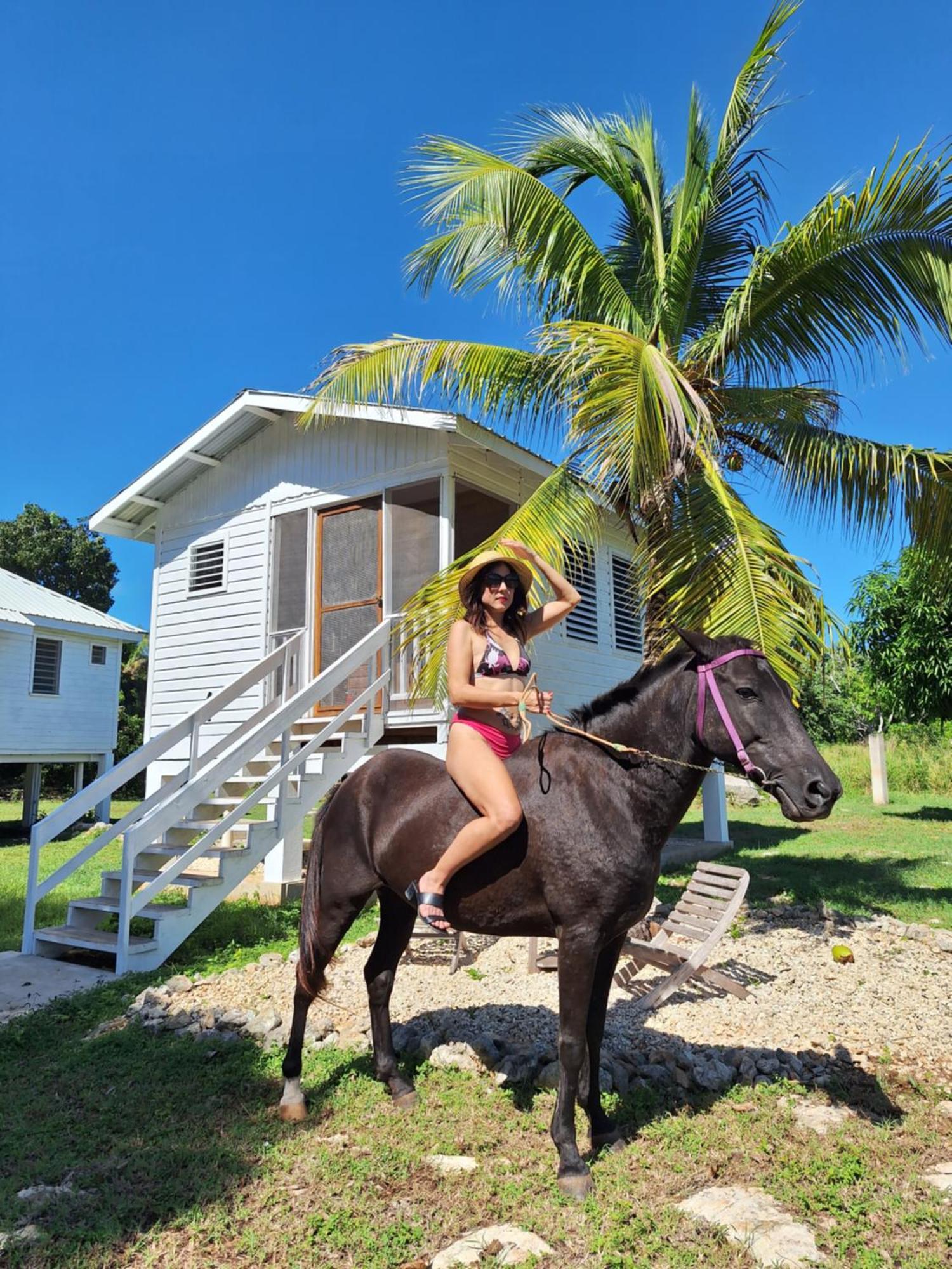 Horse Cottage Sarteneja Exterior foto